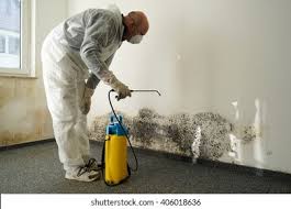 Mold Remediation for Rental Properties in Glencoe, FL